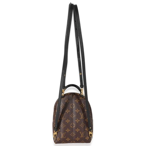 Louis Vuitton Monogram Canvas Palm Springs Mini Backpack - Picture 3 of 7
